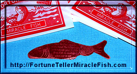 Miracle Fish are great for fund raisers, give aways, fairs, parties and just plain fun!